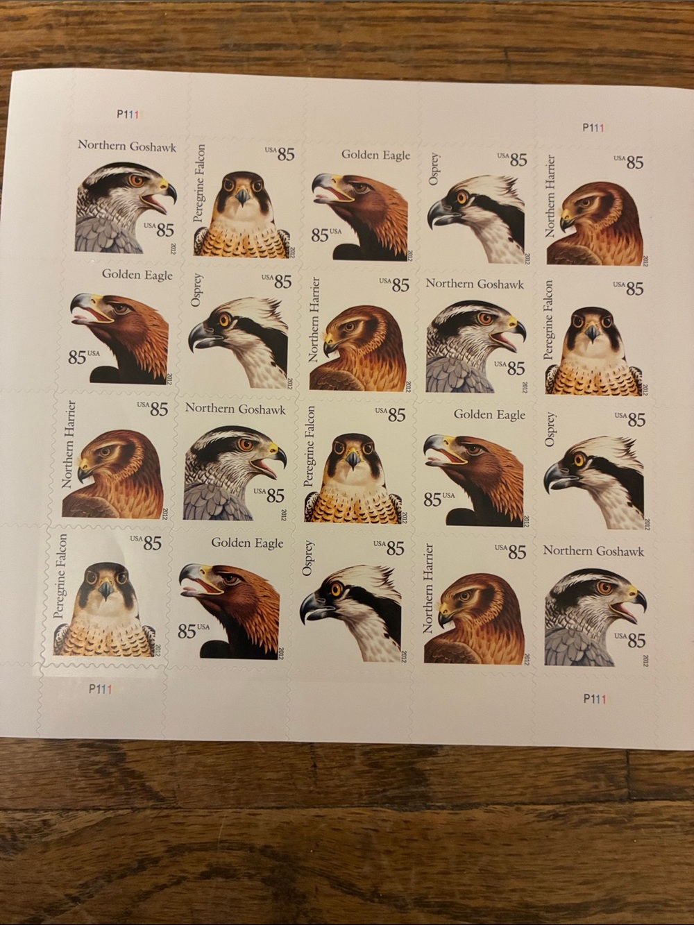 Birds of Prey 85¢ US Stamp Sheets 5 - Mixed Raptors
